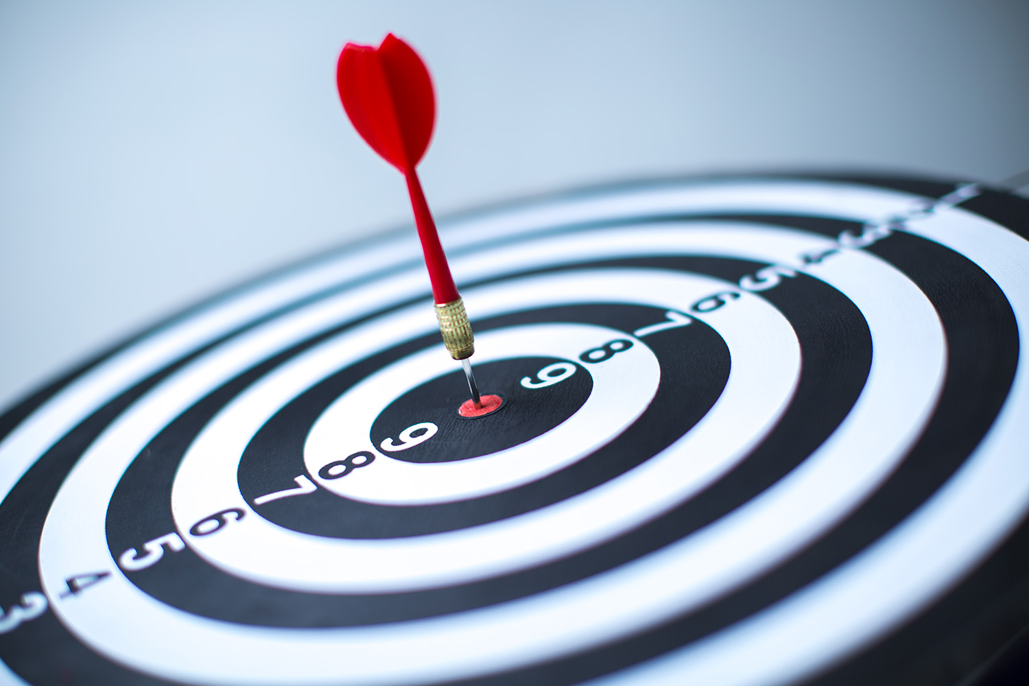 Capital Hive Investment Vision Mission